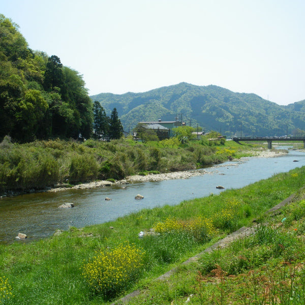 Adachi Kuromame Shoyu 1-Year Aged Tamba Black Soybean Soy Sauce 300ml