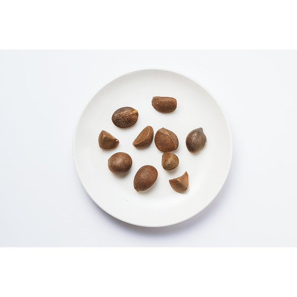 Horiuchi Tsubaki Oil Pure Versatile Camellia Oil from Kyushu 100g