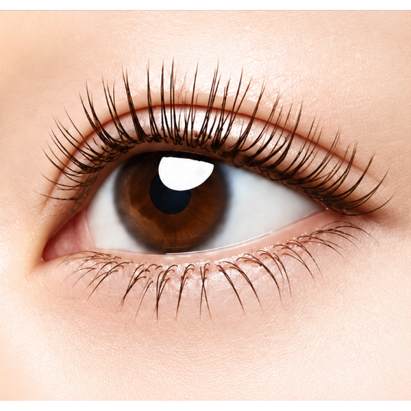 Kosé Fasio Long Lasting Curl & Waterproof Mascara Black 6g