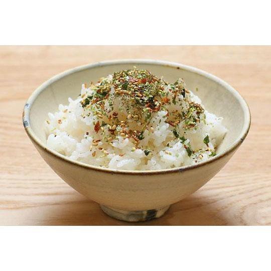 Nagatanien Otona no Furikake Rice Seasoning Wasabi 8.4g