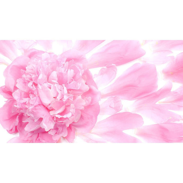 Milbon Jemile Fran Shampoo for Fine Hair 500ml