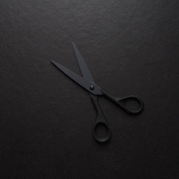 Hayashi Cutlery Allex Non Stick Craft and Office Scissors 15124