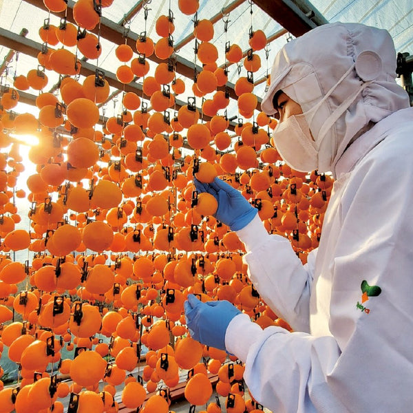 Premium Hoshigaki Dried Persimmon Sticks Natural Healthy Snack 25g