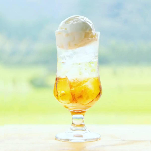 Tokiwa Ume Flavored Japanese Drinking Vinegar Premix Drink 125ml (Pack of 6)