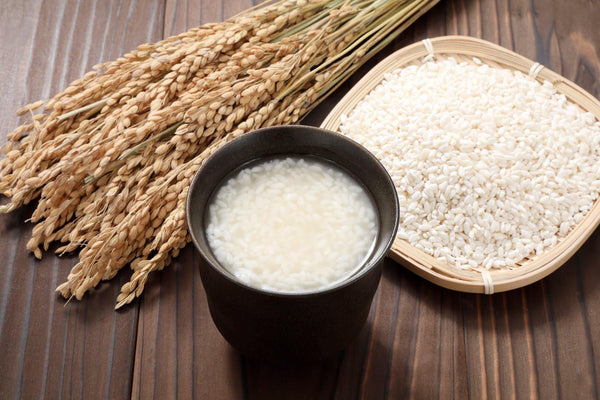 Amazake (Fermented Rice Drink)