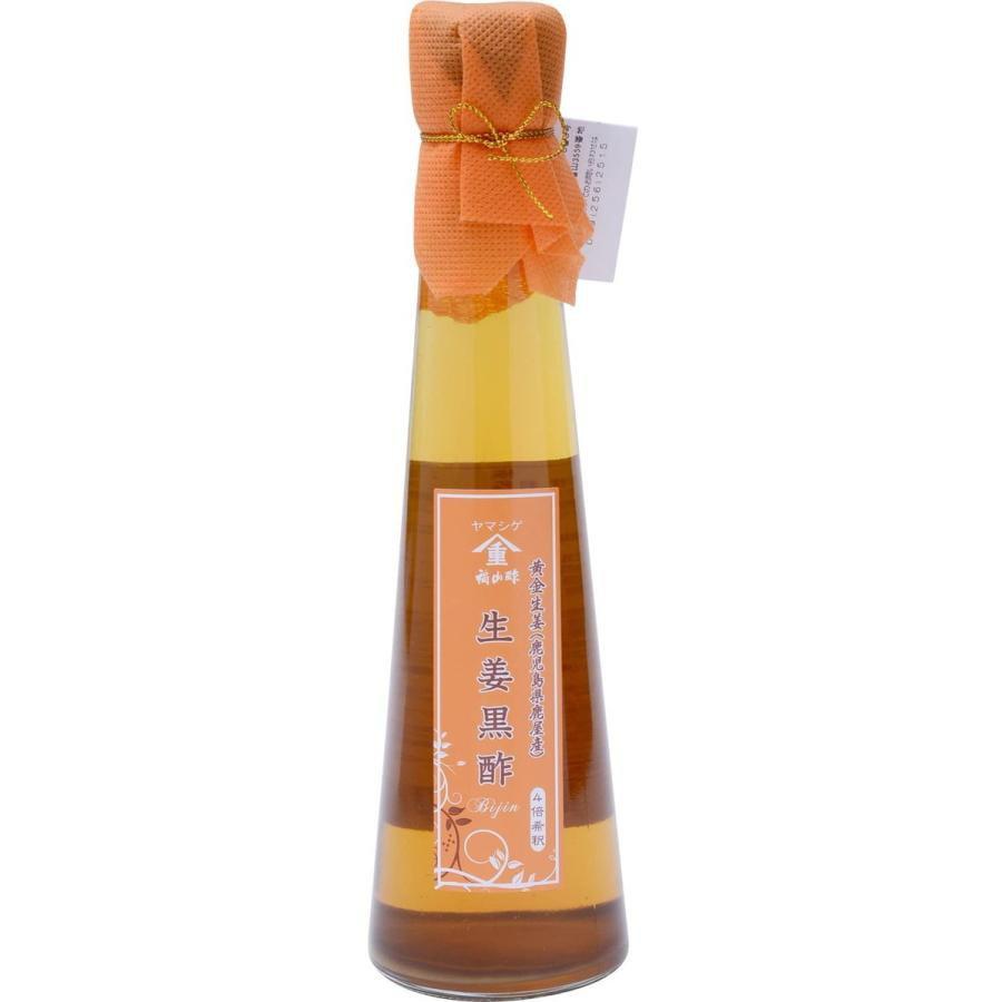 Fukuyamasu-Shoga-Kurozu-Ginger-Seasoned-Aged-Black-Rice-Vinegar-200ml-1-2023-11-30T08:24:44.337Z.jpg