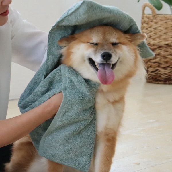 Jogan-Pet-Towel-Super-Absorbant-Bath-Towel-for-Pets-Green-34×78cm-12-2024-07-16T00:42:59.896Z.jpg