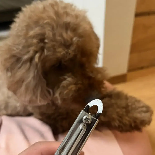 K-pro-Pet-Zan-Nail-Clipper-Guillotine-Trimmer-For-Small-and-Medium-Dogs-2-2026-03-23T08:06:15.195Z.webp