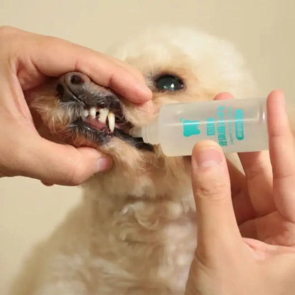 Taurus Gentle Liquid Gel Type Pet Toothpaste Vanilla Flavor 25ml